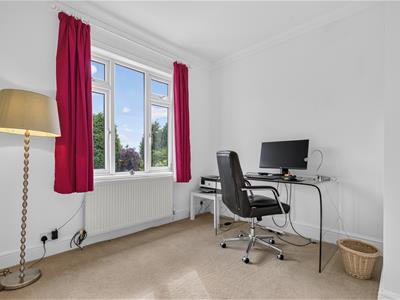 Picture 19
